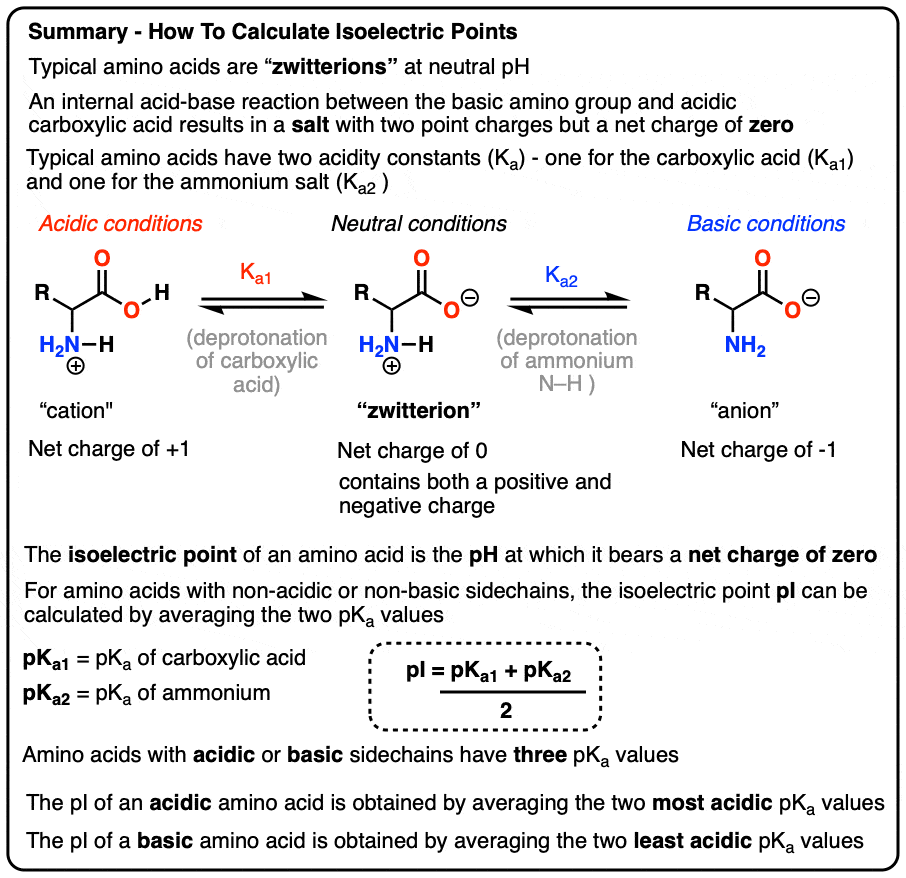 summary of the isoelectric point and how to calculate it