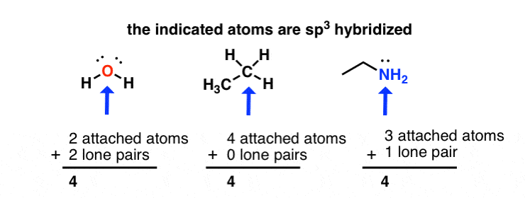 shortcut-for-calculating-hybridization-of-atoms-sp3-add-attached-atoms-plus-lone-pairs-three-examples