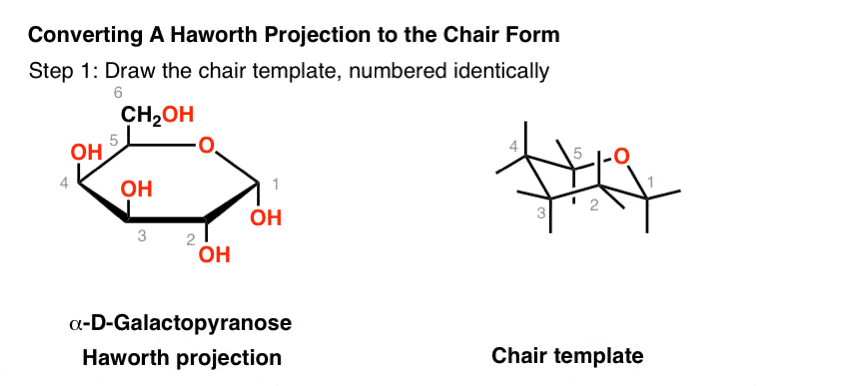 converting-haworth-projection-to-the-chair-form-draw-chair-template