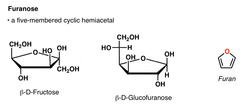 definition-of-furanose-is-that-it-is-a-five-membered-cyclic-hemiacetal