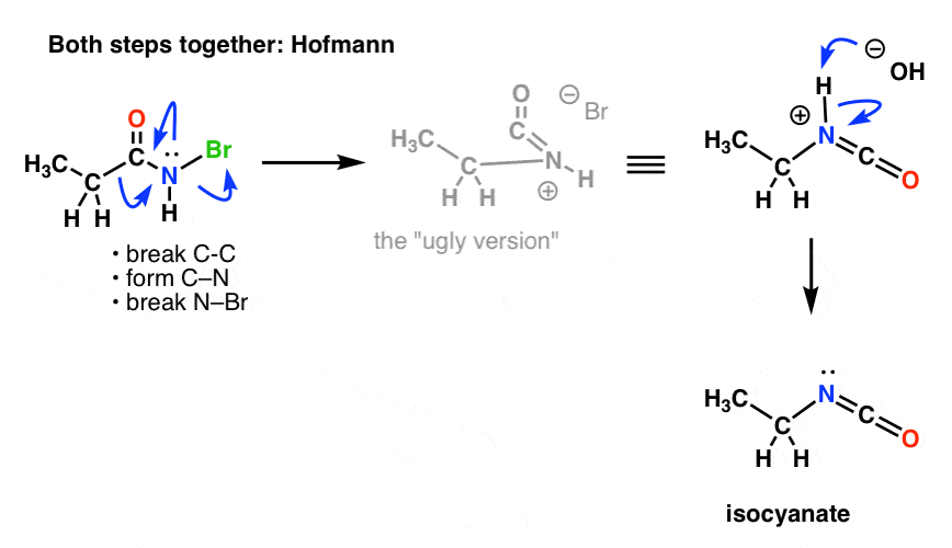 hofmann elimination both steps together