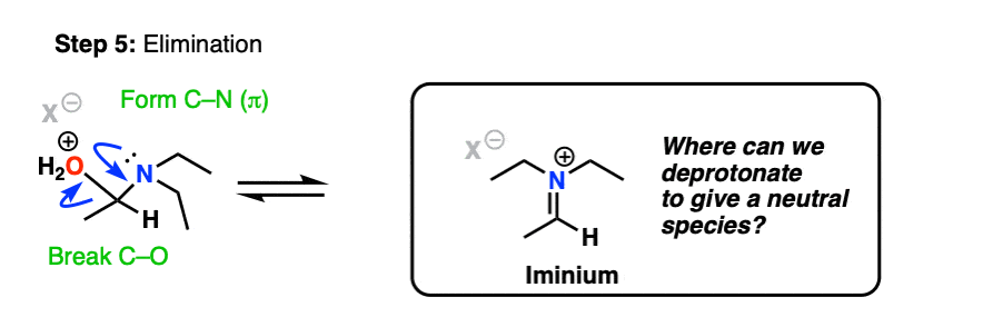 formation of enamines from aldehydes and ketones from secondary amines elimination