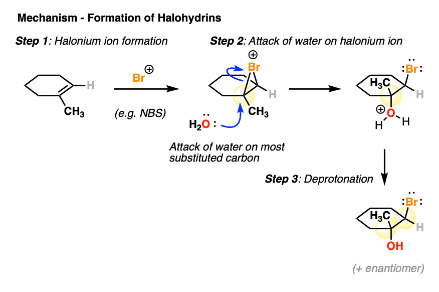 mechanism for the formation of halonium ions from n bromosuccinimide and others