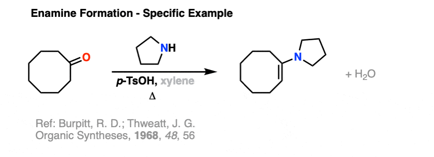 Enamine formation example from organic syntheses - cyclodecanone