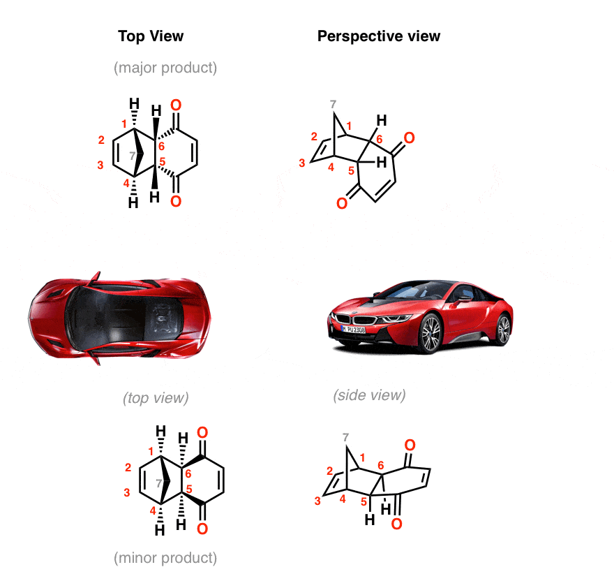 diels alder products exo and endo top view and side view perspective