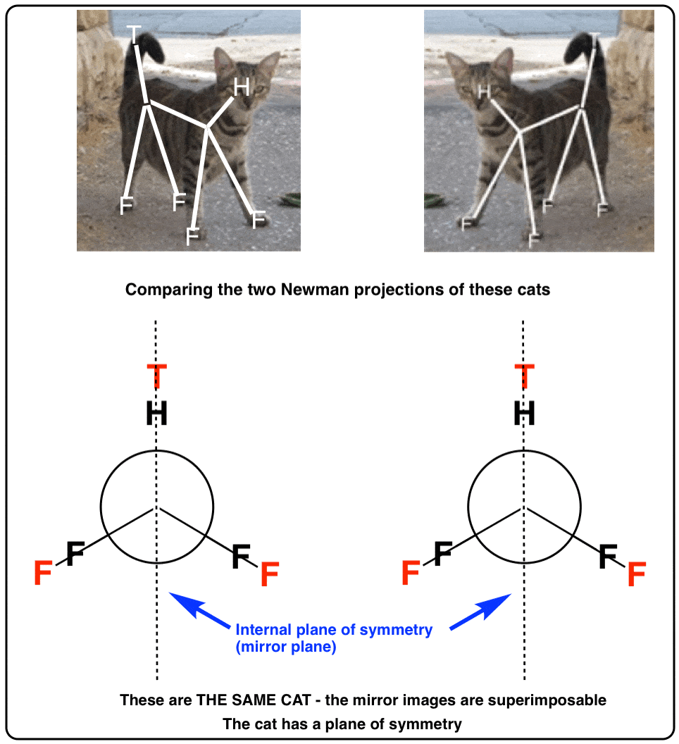 newman-projections-drawn-for-the-same-cat-cat-line-diagram-shows-plane-of-symmetry