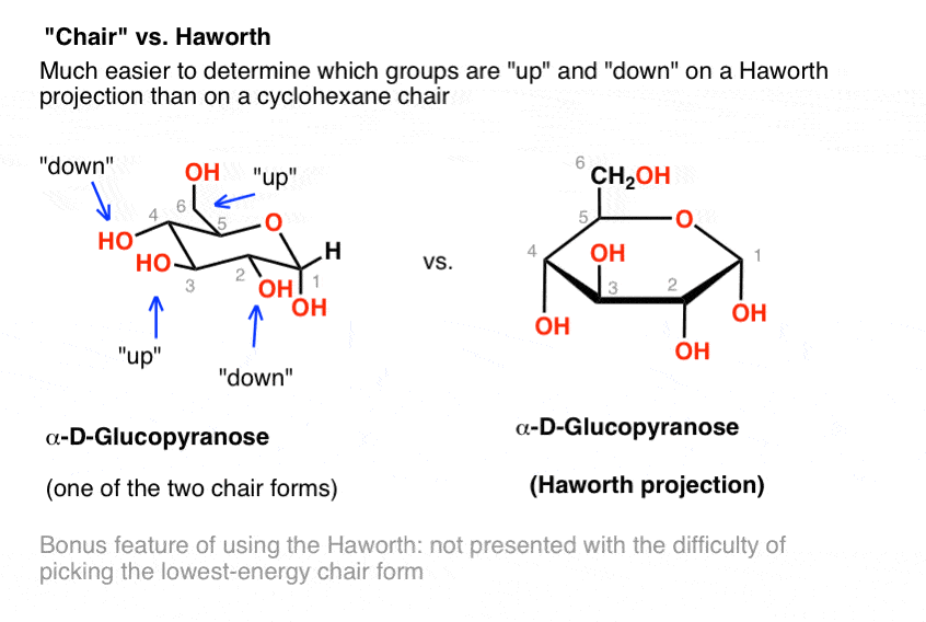 -chair-conformation-vs-haworth-projection-easier-to-tell-up-and-down