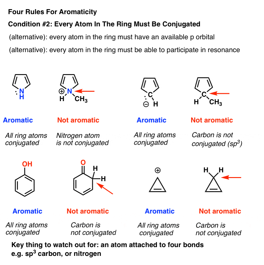 four rules for aromaticity rule two every atom in ring must be conjugated no sp3 carbons with 4 atoms attached