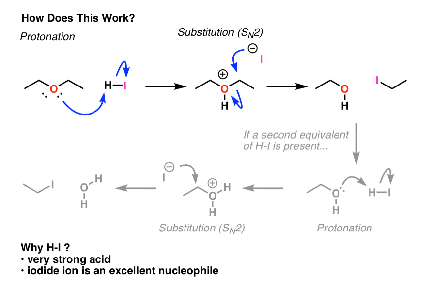 mechanism for ether cleavage of diethyl ether uses hi protonate ether oxygen sn2 by iodide then second iteration with hi