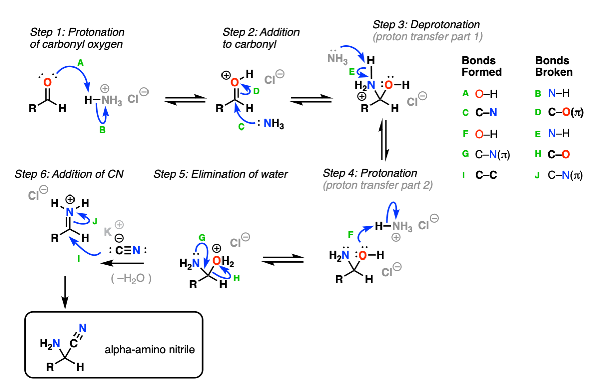 mechanism of strecker synthesis part 1 addition of cyanide to iminium