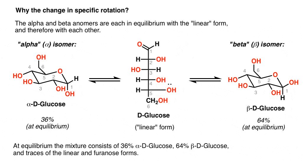 mutarotation-is-a-consequence-of-the-interconversion-between-alpha-and-beta-glucose-going-through-linear-form