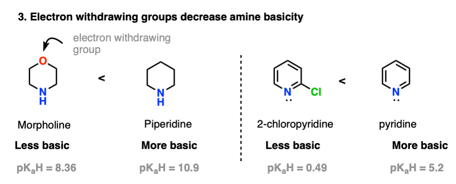 electron withdrawing groups on amines decrease basicity eg morpholine and 2 chloropyridine