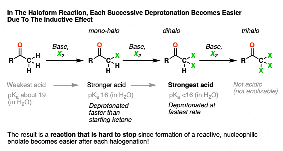 -haloform-reaction-results-in-successively-more-acidic-ketones-cookie-monster-reaction