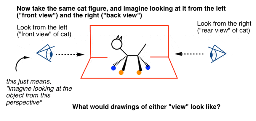 imagine-looking-at-cat-line-diagram-from-the-front-what-do-we-see-newman