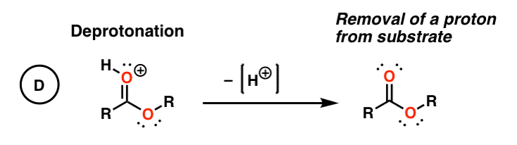 deprotonation is the last step of padped mechanism