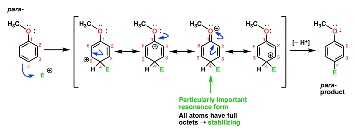 resonance forms showing para attack on anisole with key resonance form full octets