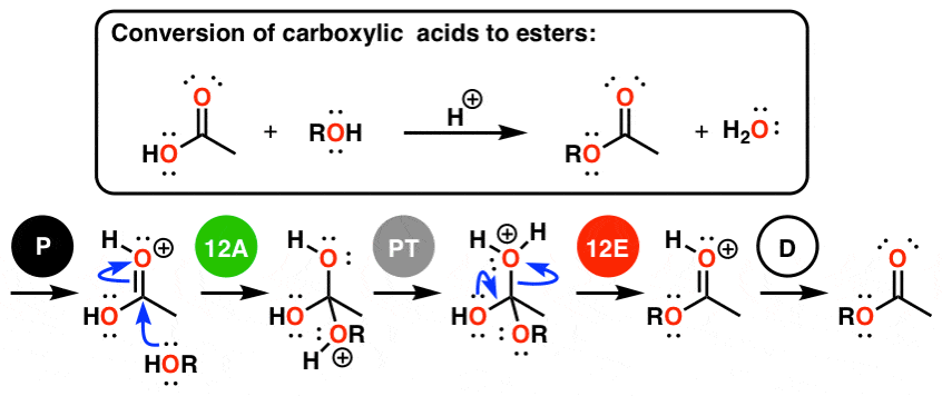 conversion of carboxylic acids to esters mechanism broken down to padped