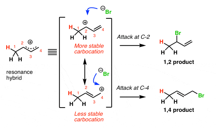 intermediate from protonation of butadiene with hcl