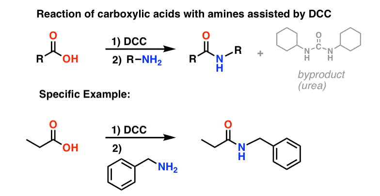 synthesis of amides through reaction of carboxylic acid and amine with dcc