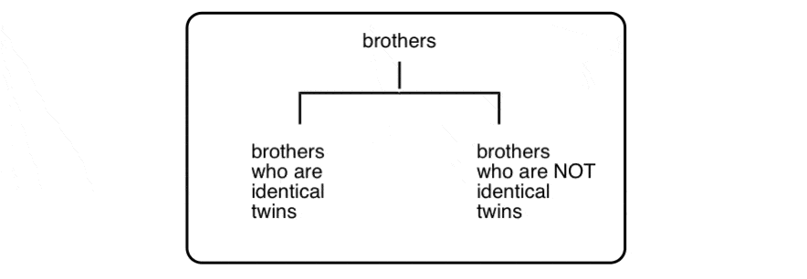 flowchart-brothers-who-are-identical-twins-not-identical-twins