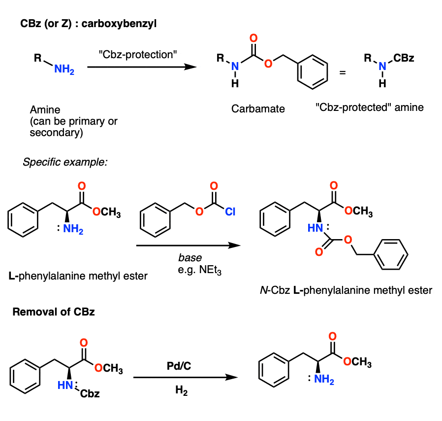 installation and removal of cbz carboxybenzyl amine protecting group