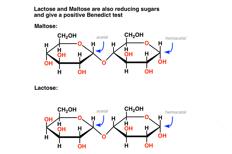 lactose-and-maltose-also-give-positive-benedict-tests