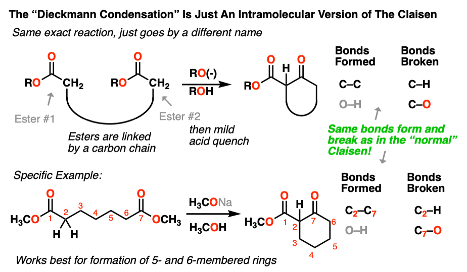 mechanism-Dieckmann