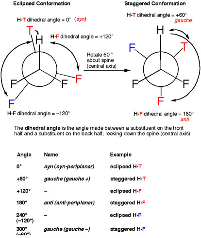 5-synantigauche copy