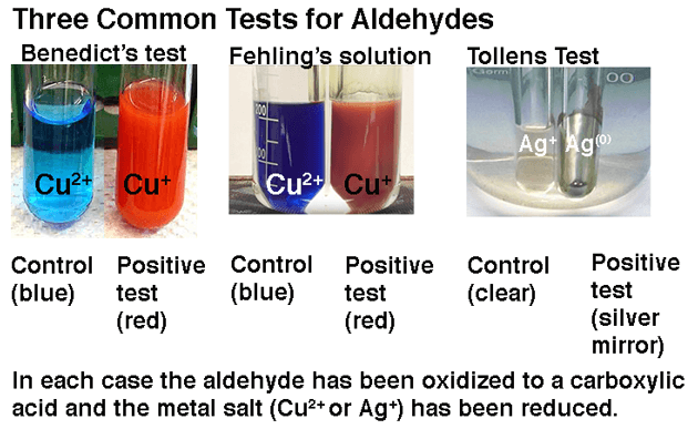 benedicts-test-fehlings-solution-and-tollens-tests-for-presence-of-aldehydes-reducing-sugars