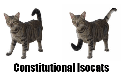 constitutional-isocats