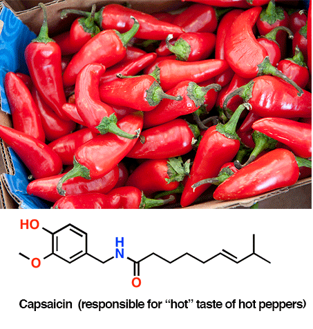 capsaicin