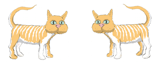 examples-of-cis-trans-isomers-cats-stereoisomers