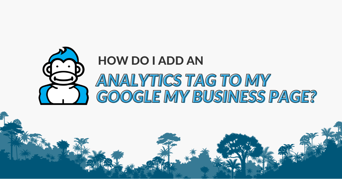 Adding an analytics tag to gmb