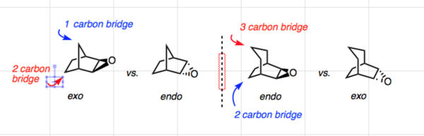 exo-endo-1