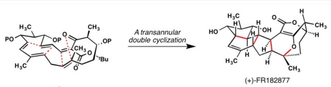 double-intramolecular-diels-alder-reaction-forming-FR182877-Sorensen